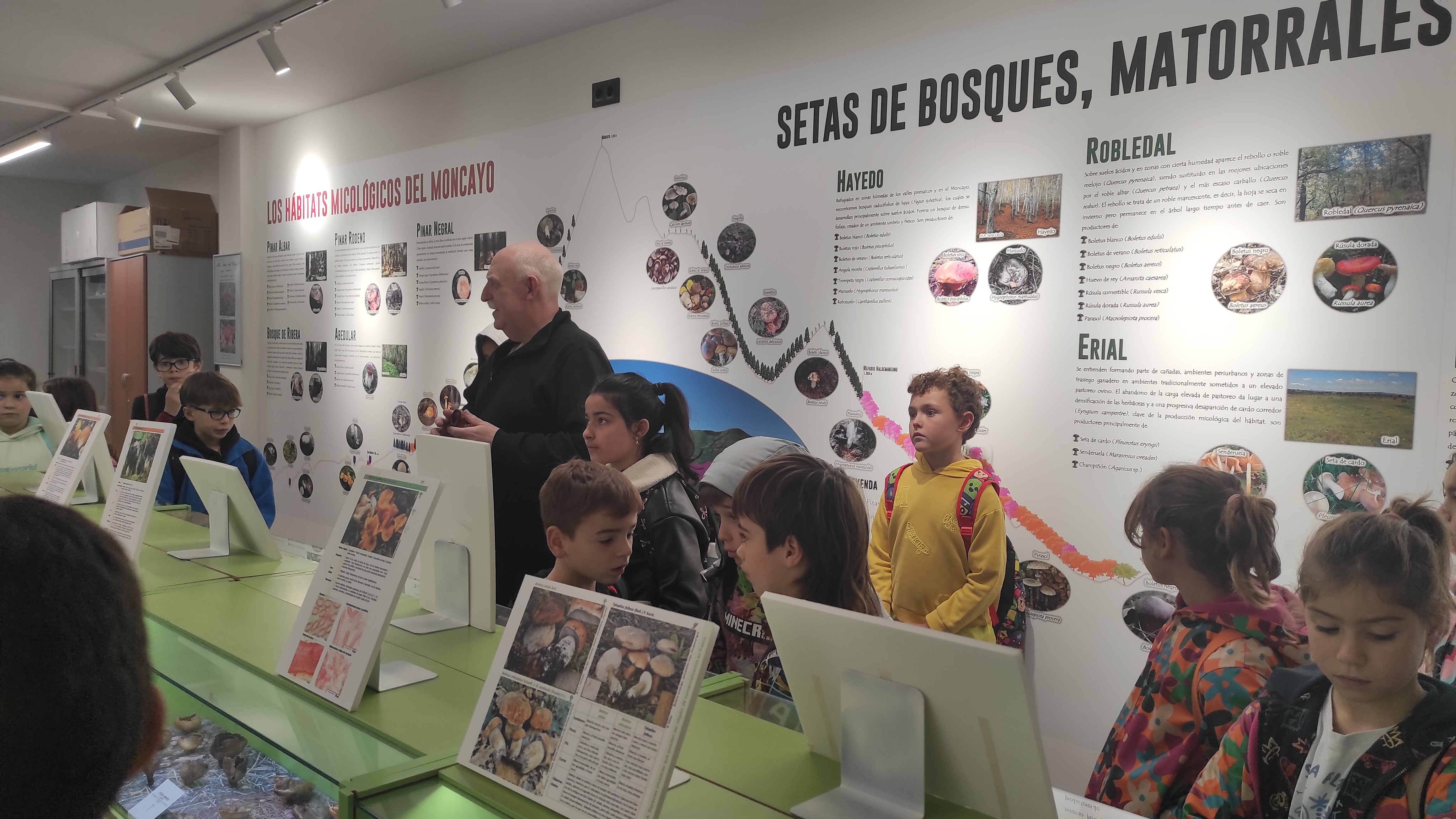 Copia de IMG_20251030_102432.jpg